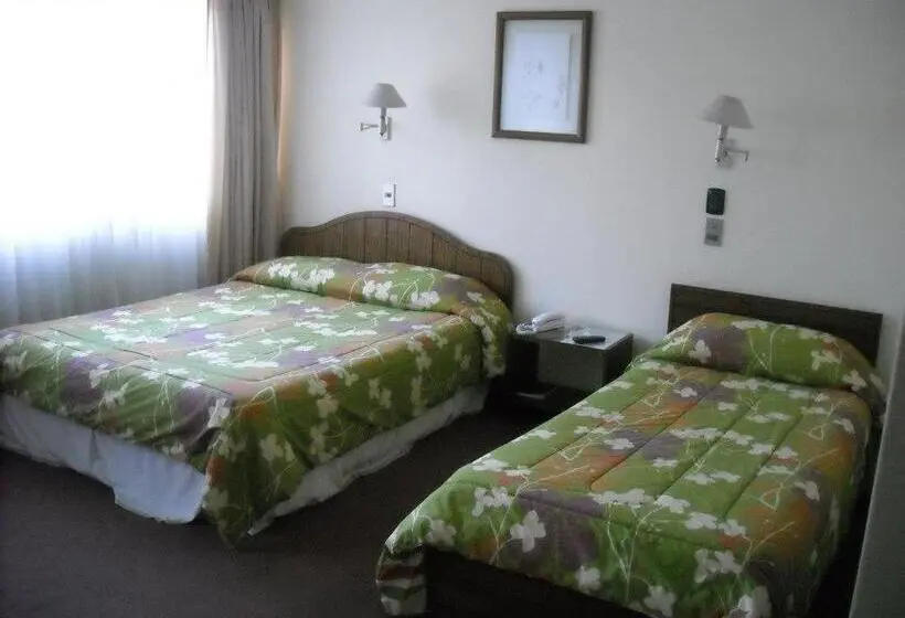 Standard Kolmen Hengen Huone, Quinchamali
