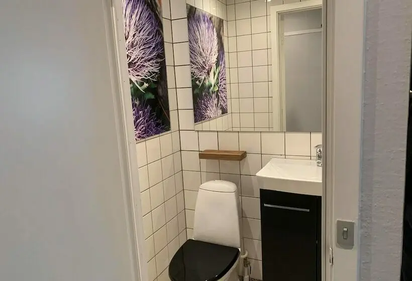 Camera Standard, Rungstedgaard