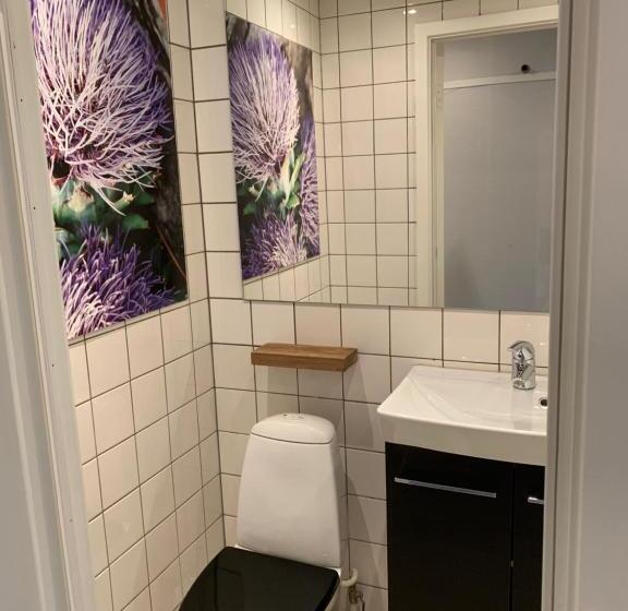 수피리어 룸, Rungstedgaard