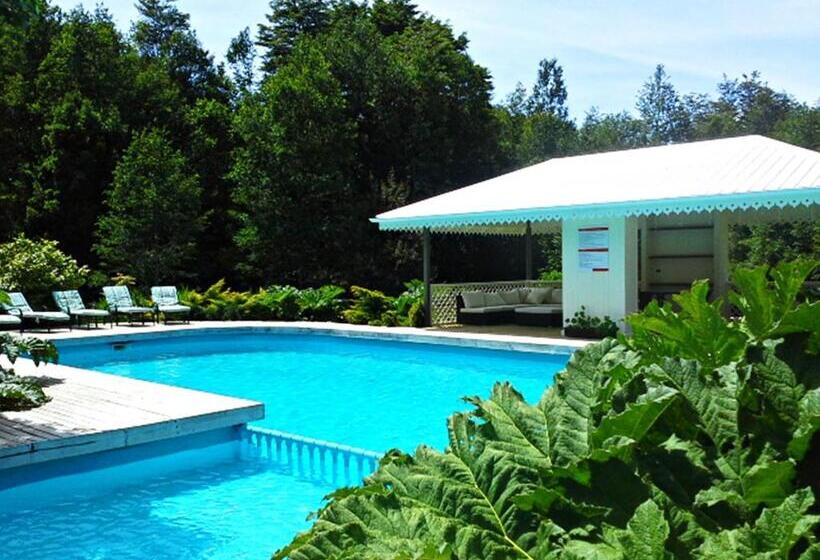 Suite with lake view, Salto Del Carileufu