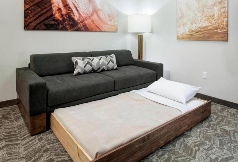 带大床的套房, Springhill Suites By Marriott Clearwater Beach
