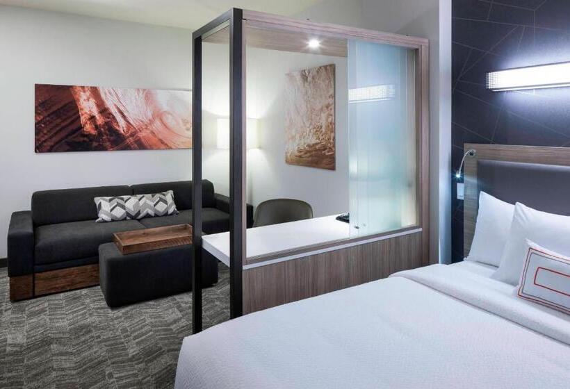 جناح سرير كينج, Springhill Suites By Marriott Clearwater Beach