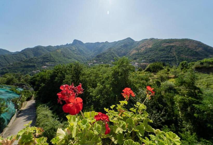 غرفة قياسية سرير كينج, Tra I Monti