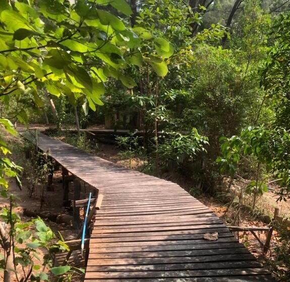 كابينة, Kradan Beach Resort