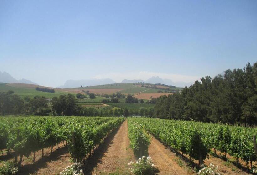 标准间, Clos Malverne Wine Estate