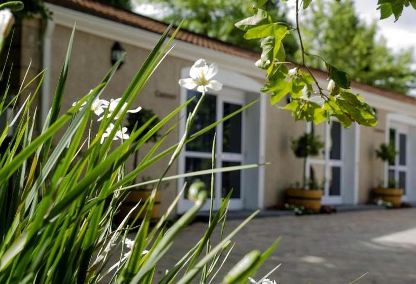 标准间, Clos Malverne Wine Estate