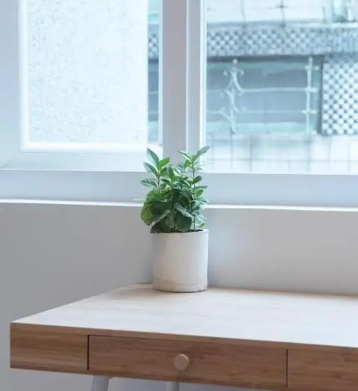 اتاق عادی, Owlstay Flip Flop Hostel Garden