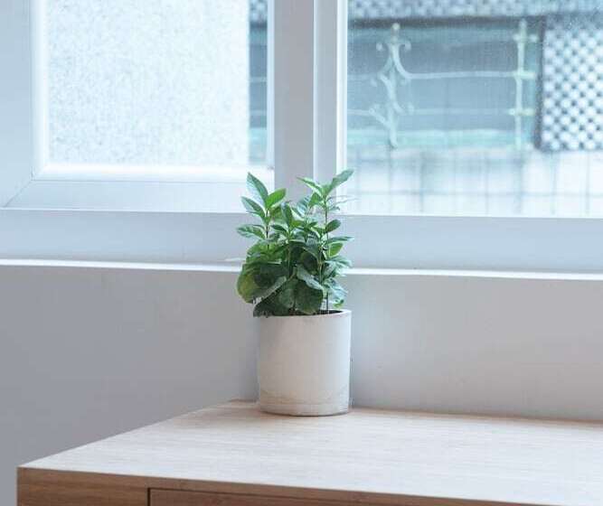 اتاق عادی, Owlstay Flip Flop Hostel Garden