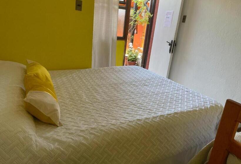 3-Bett-Standardzimmer, Hostal Avenue