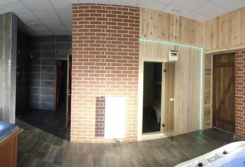 Номер Стандарт с доступом в Спа, Agat & Spa