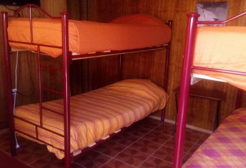 اتاق استاندارد چهار تخته, Amigos