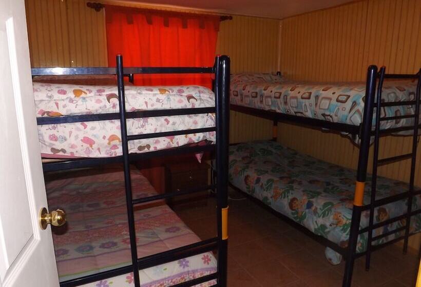 اتاق استاندارد چهار تخته, Amigos