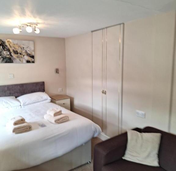 غرفة قياسية مطلة على الجبل, Ferndale Lodge