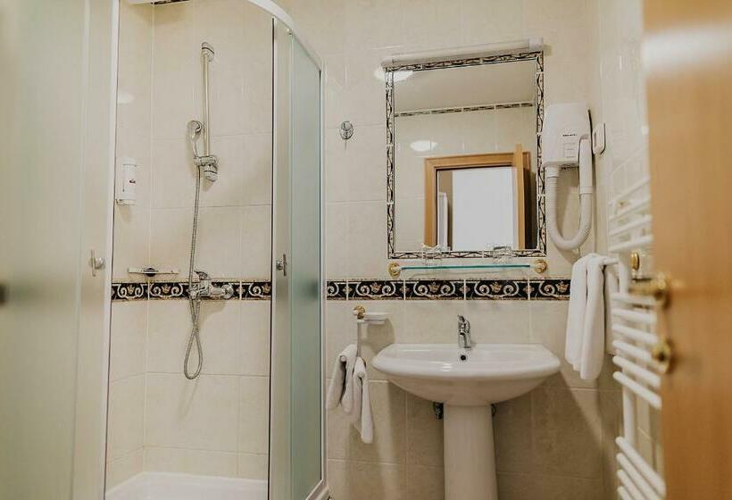 غرفة قياسية فردية, Silver