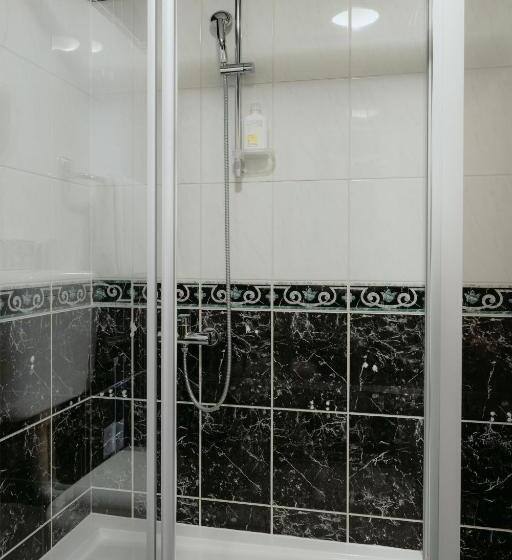 غرفة قياسية فردية, Silver