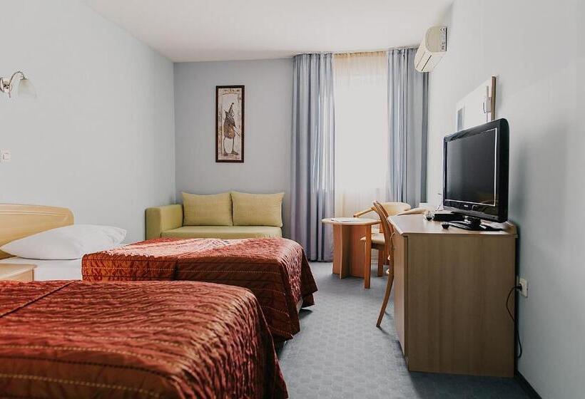 غرفة قياسية, Silver