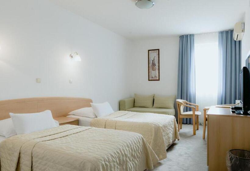 غرفة قياسية, Silver