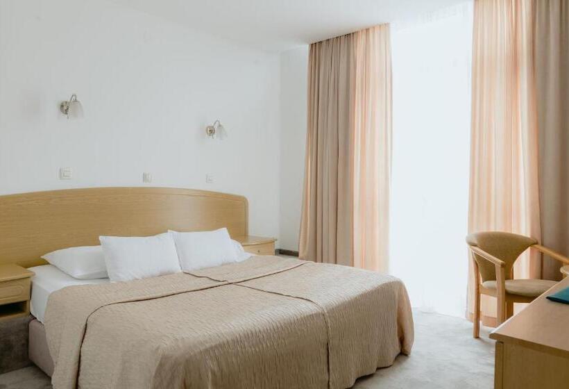 غرفة قياسية, Silver