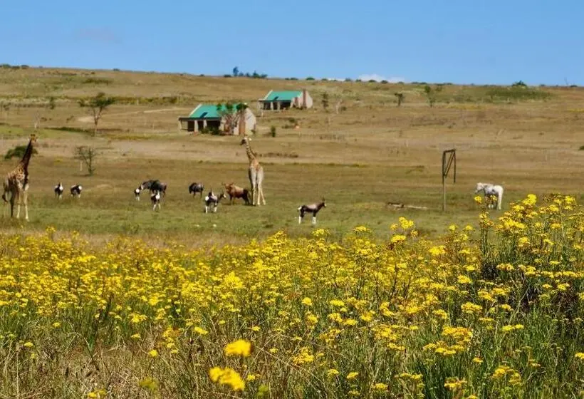 خانه 1 خوابه, Kwetu Guest Farm