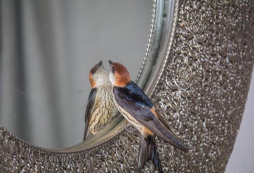 בית, חדר שינה 1, Kwetu Guest Farm