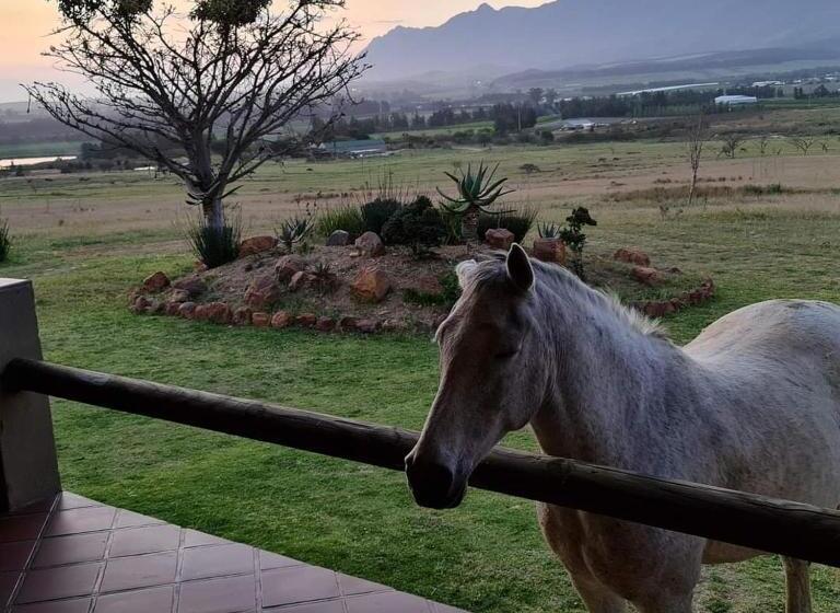 בית, חדר שינה 1, Kwetu Guest Farm
