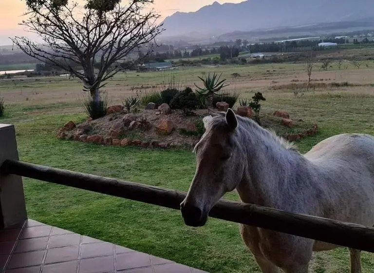 خانه 1 خوابه, Kwetu Guest Farm