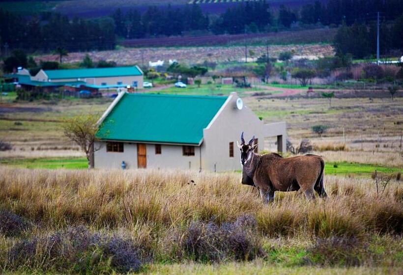 בית, חדר שינה 1, Kwetu Guest Farm