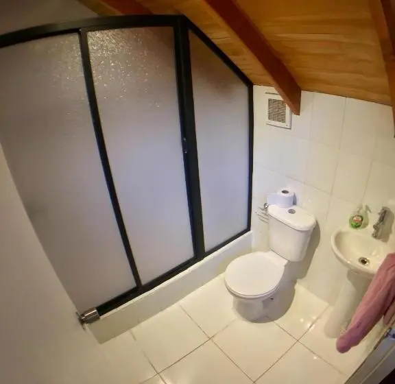 Standardzimmer, Gecko Hostel