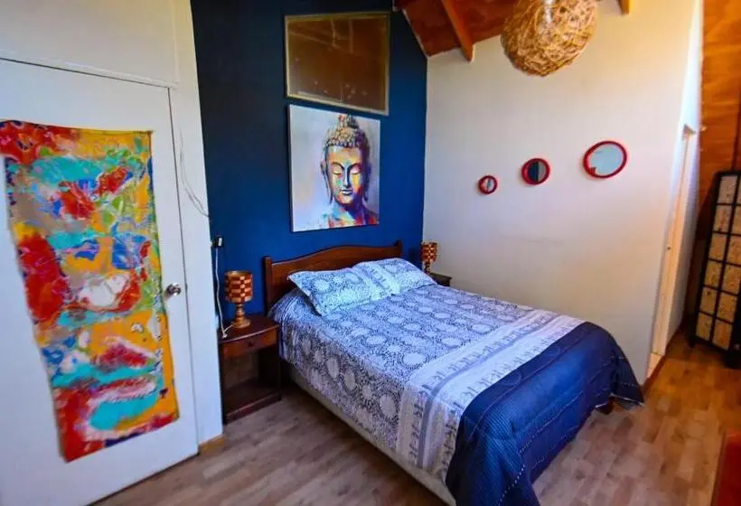 Standardzimmer, Gecko Hostel