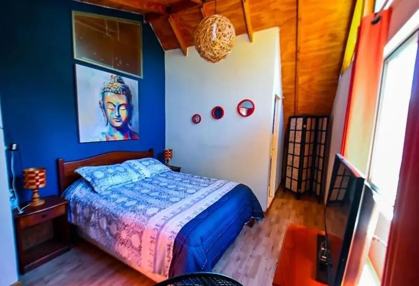 Standardzimmer, Gecko Hostel