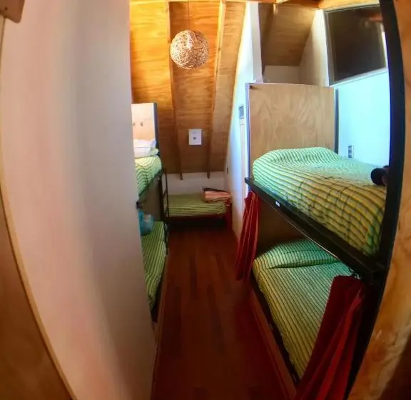 Geteiltes Mehrbettzimmer, Gecko Hostel