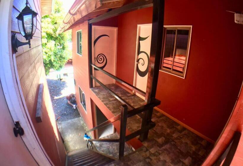 共用房间的床, Gecko Hostel