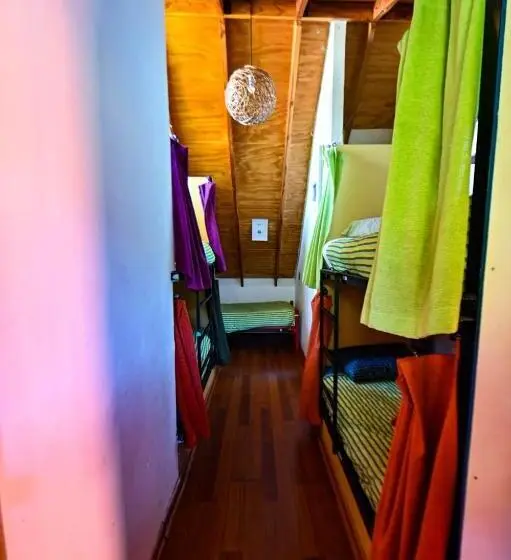 Geteiltes Mehrbettzimmer, Gecko Hostel