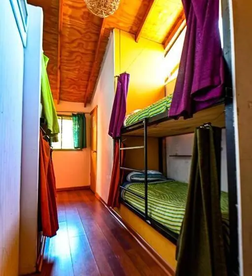 Geteiltes Mehrbettzimmer, Gecko Hostel