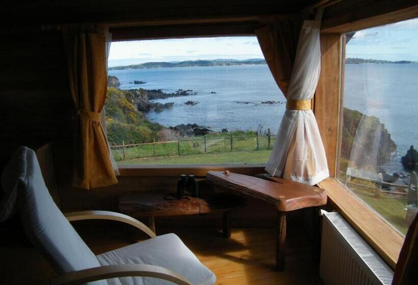 Люкс Премиум, Faros Del Sur