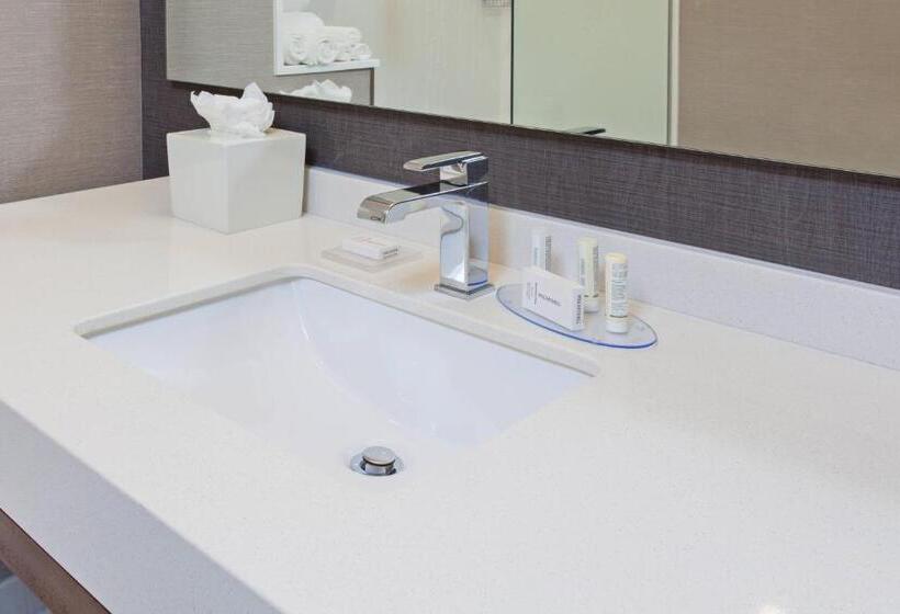 غرفة قياسية لذوى الاحتياجات الخاصة, Courtyard By Marriott San Diego El Cajon