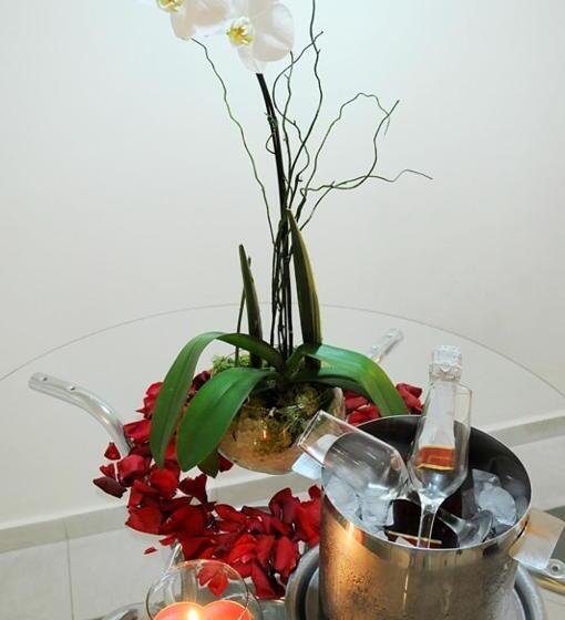 سوییت لوکس, Floresta Tucuruvi