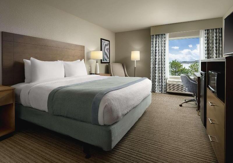 Номер Стандарт Кровать Кинг Адаптированный для Инвалидов, Hampton Inn Kyle