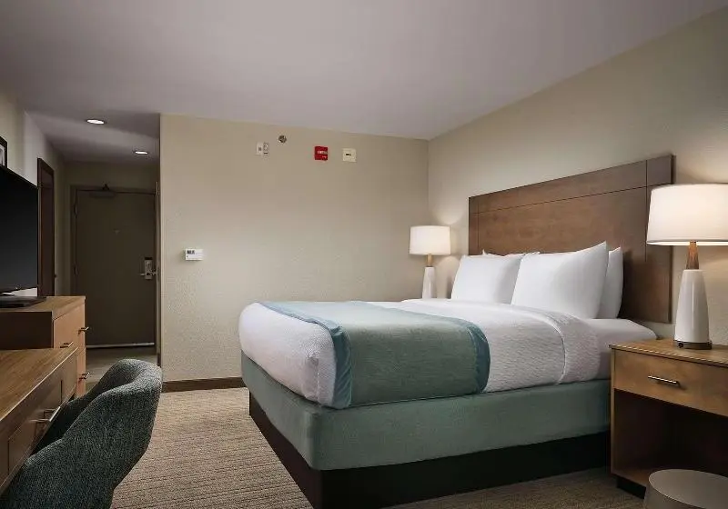 Standard-invahuone King-vuode, Hampton Inn Kyle