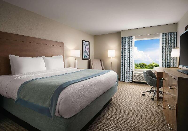 Номер Стандарт Кровать Кинг Адаптированный для Инвалидов, Hampton Inn Kyle