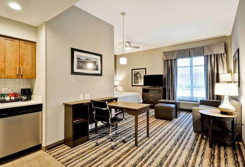 キングサイドベッドのスタンダードワンルーム, Home2 Suites By Hilton Baytown