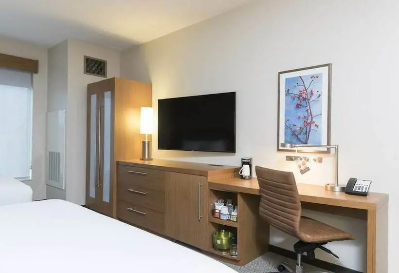 اتاق استاندارد با تخت بزرگ برای معلولان, Hyatt Place Ann Arbor
