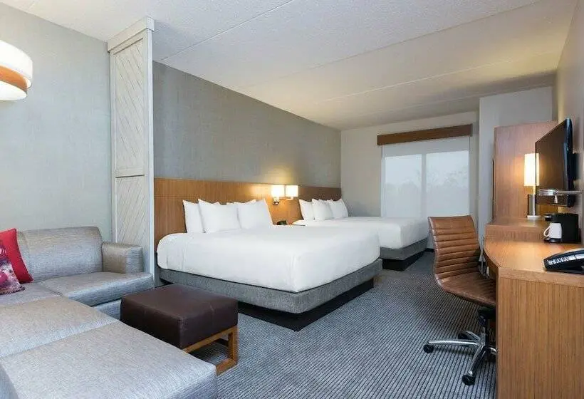 اتاق استاندارد با تخت بزرگ برای معلولان, Hyatt Place Ann Arbor