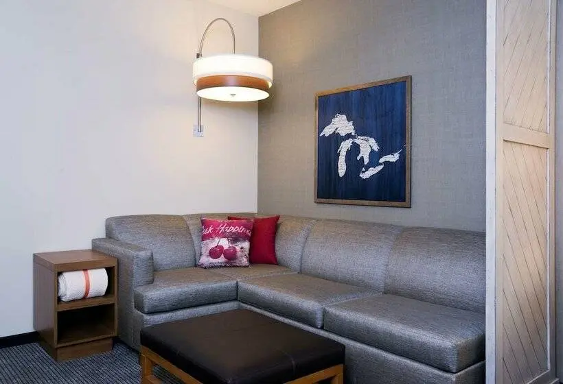 اتاق استاندارد با تخت بزرگ, Hyatt Place Ann Arbor