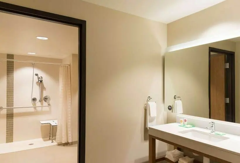 اتاق استاندارد با تخت بزرگ برای معلولان, Hyatt Place Ann Arbor