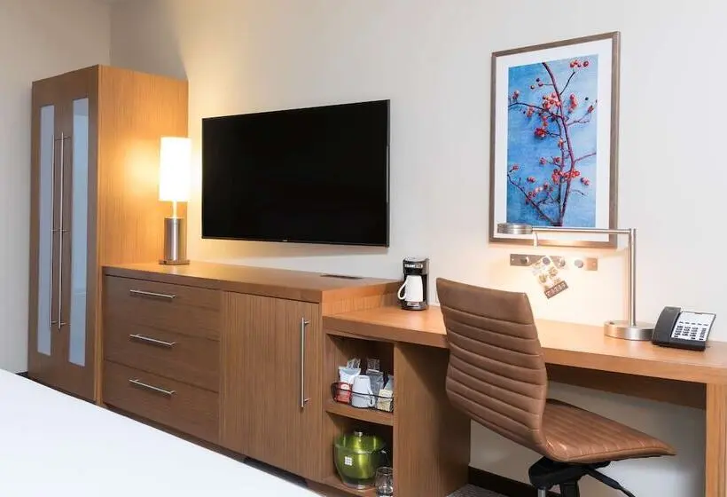اتاق استاندارد با تخت بزرگ برای معلولان, Hyatt Place Ann Arbor