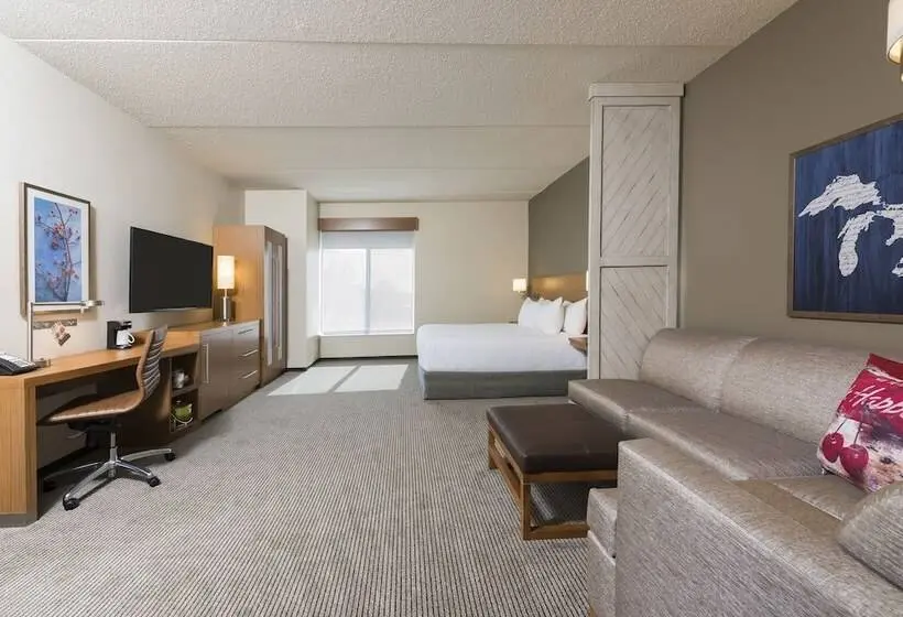اتاق استاندارد با تخت بزرگ, Hyatt Place Ann Arbor