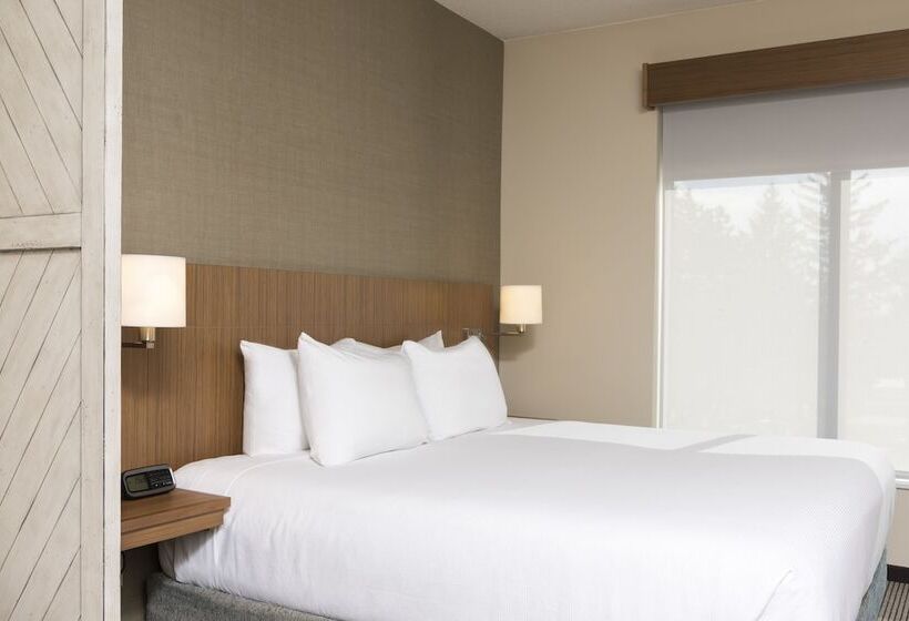 Стандартный Номер Кровать Кинг, Hyatt Place Ann Arbor