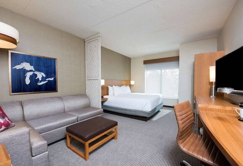 Стандартный Номер Кровать Кинг, Hyatt Place Ann Arbor