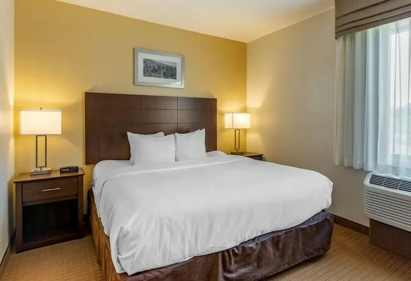 スイート, Mainstay Suites Near Denver Downtown